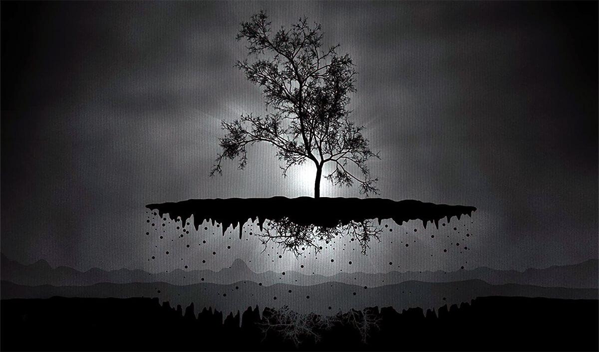 The Charcoal Forest Series
