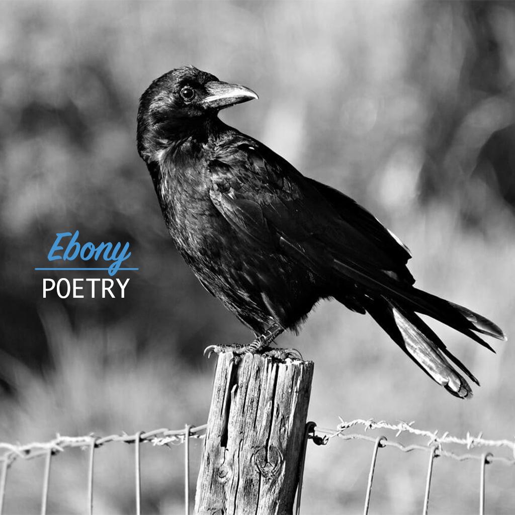 Ebony, Poetry, Rose Mary Johnson