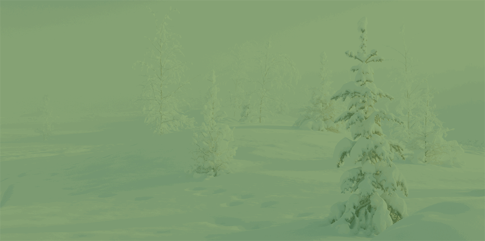Wish List Animated Graphic Created in PowerPoint, Dreamztrue.online